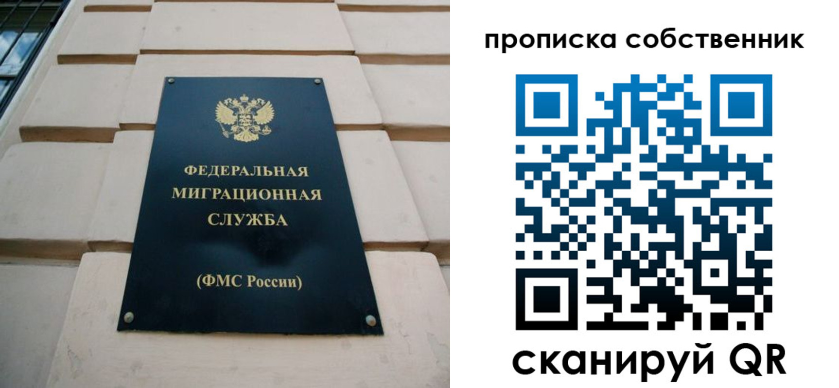 прописка законно в Ясном